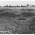 sumpfgelaende